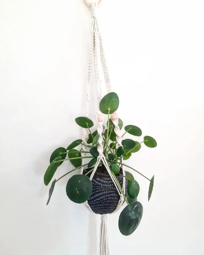 Suspension Monterey (Ecru)